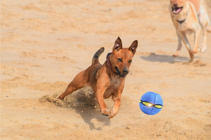 Fluxa Flying Morph Ball