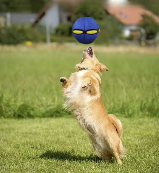 Fluxa Flying Morph Ball